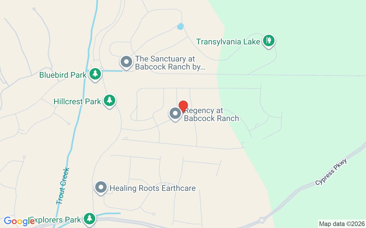 44541 Little Blue Heron Way, Punta Gorda, FL 33982