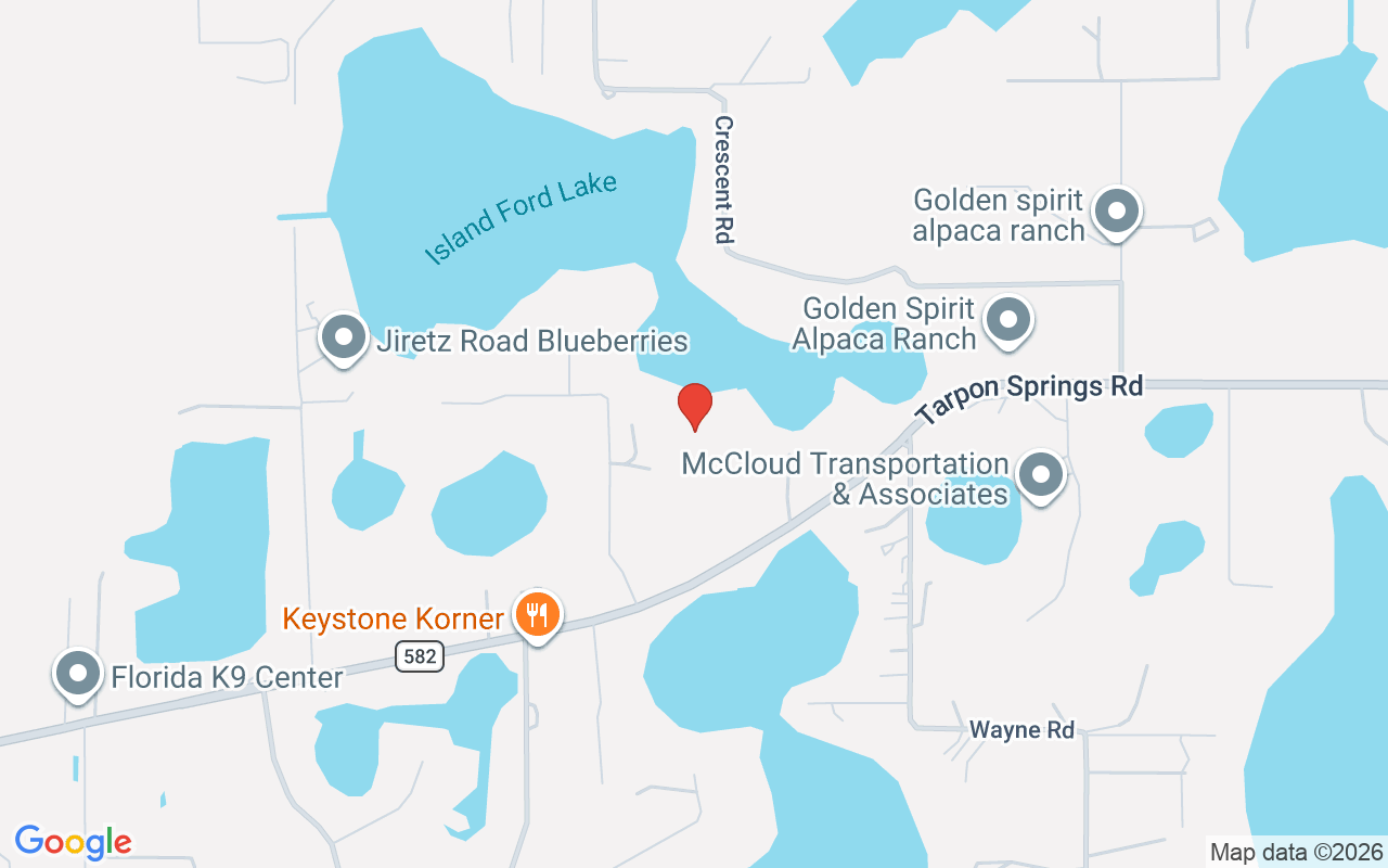 10101 Tarpon Springs Road, Odessa, FL 33556