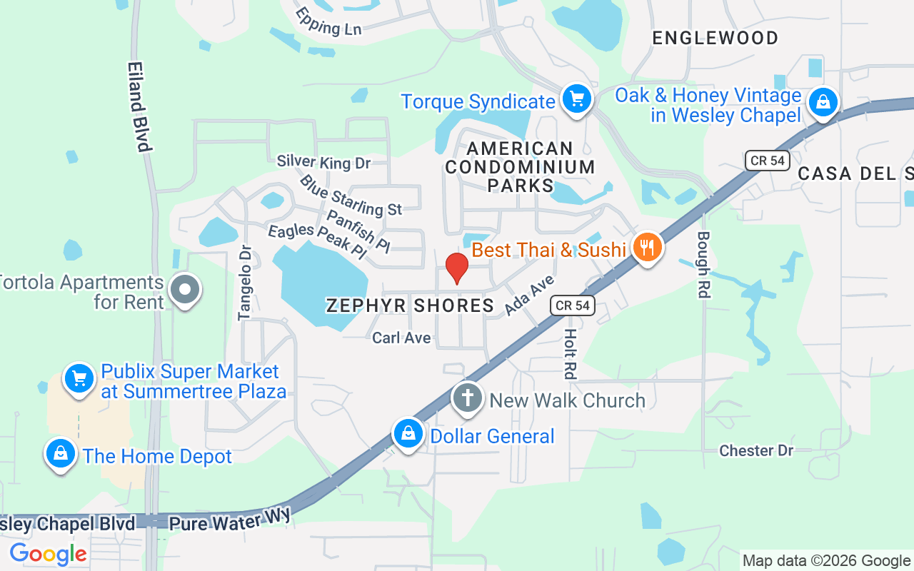 35023 Zephyr Shores Drive, Zephyrhills, FL 33541