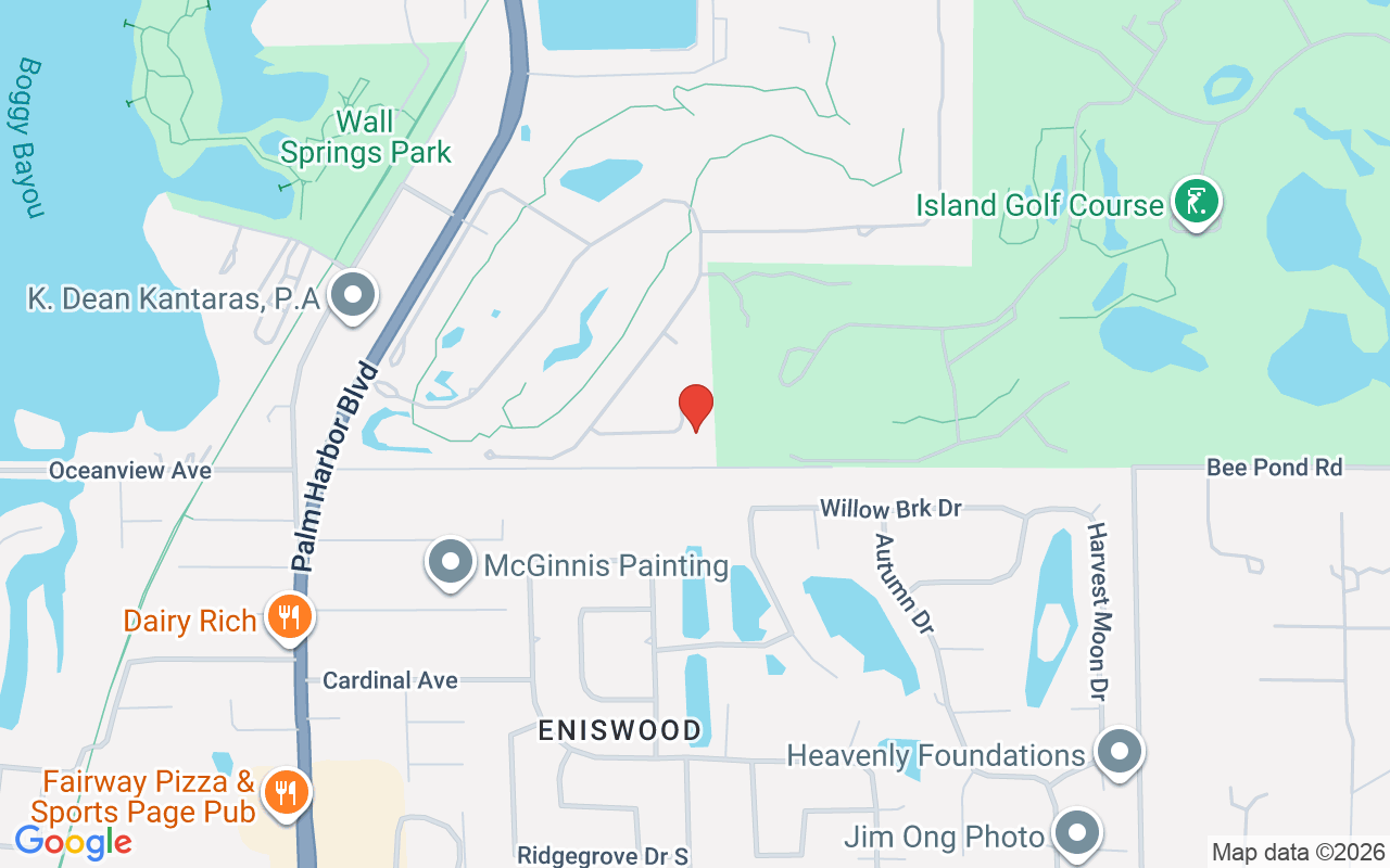 1058 Roundstone Place, Palm Harbor, FL 34683