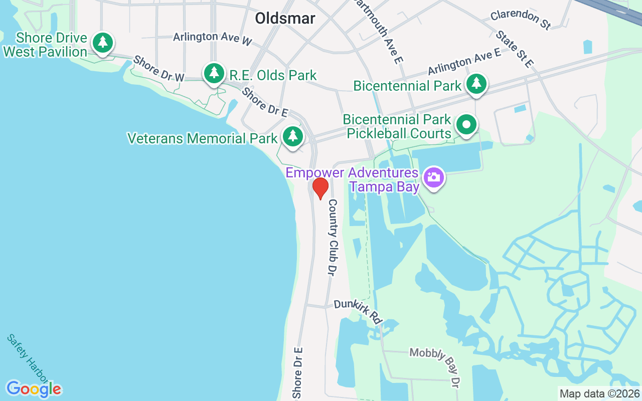 317 Shore Drive, Oldsmar, FL 34677