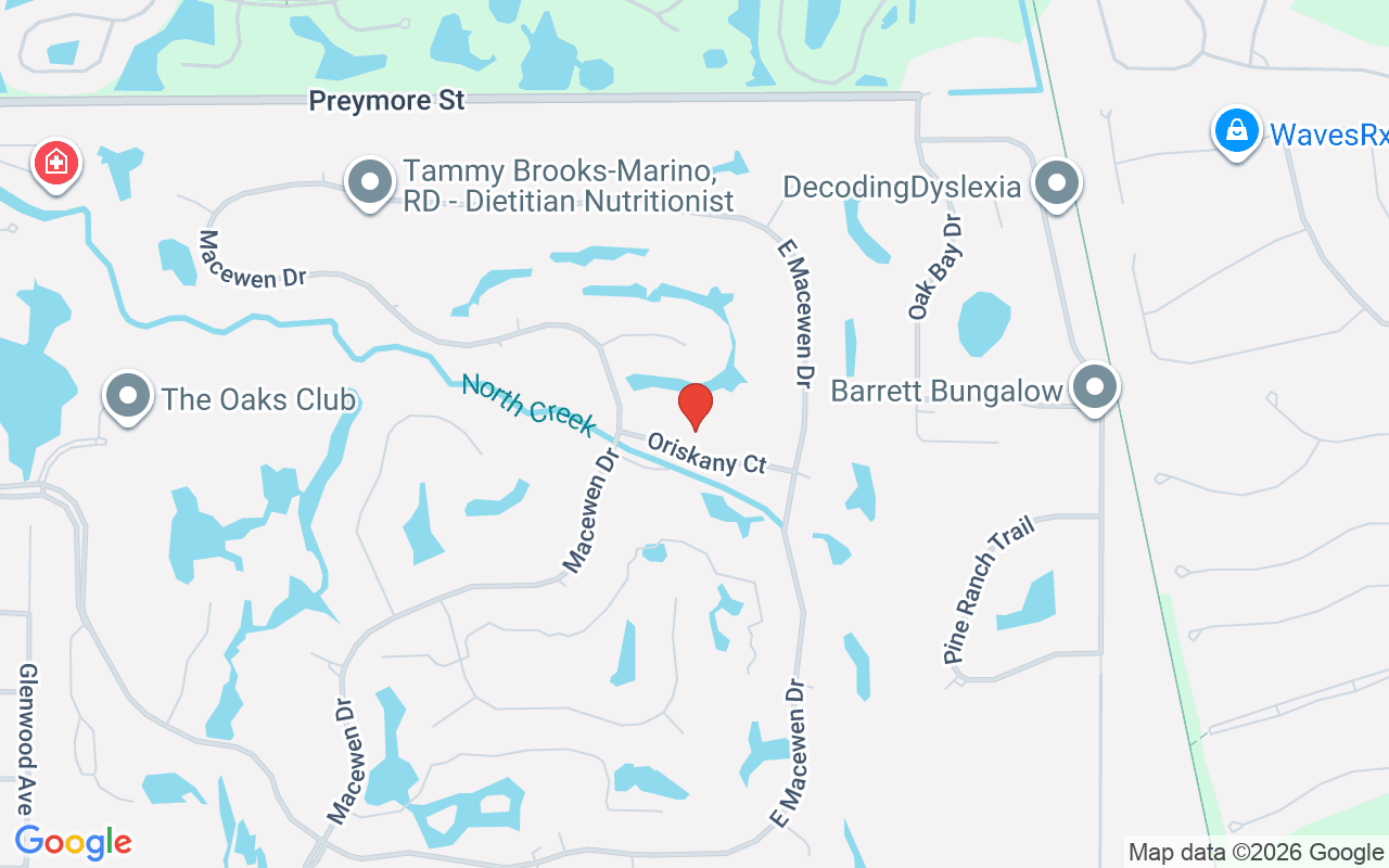 480 Oriskany Court, Osprey, FL 34229