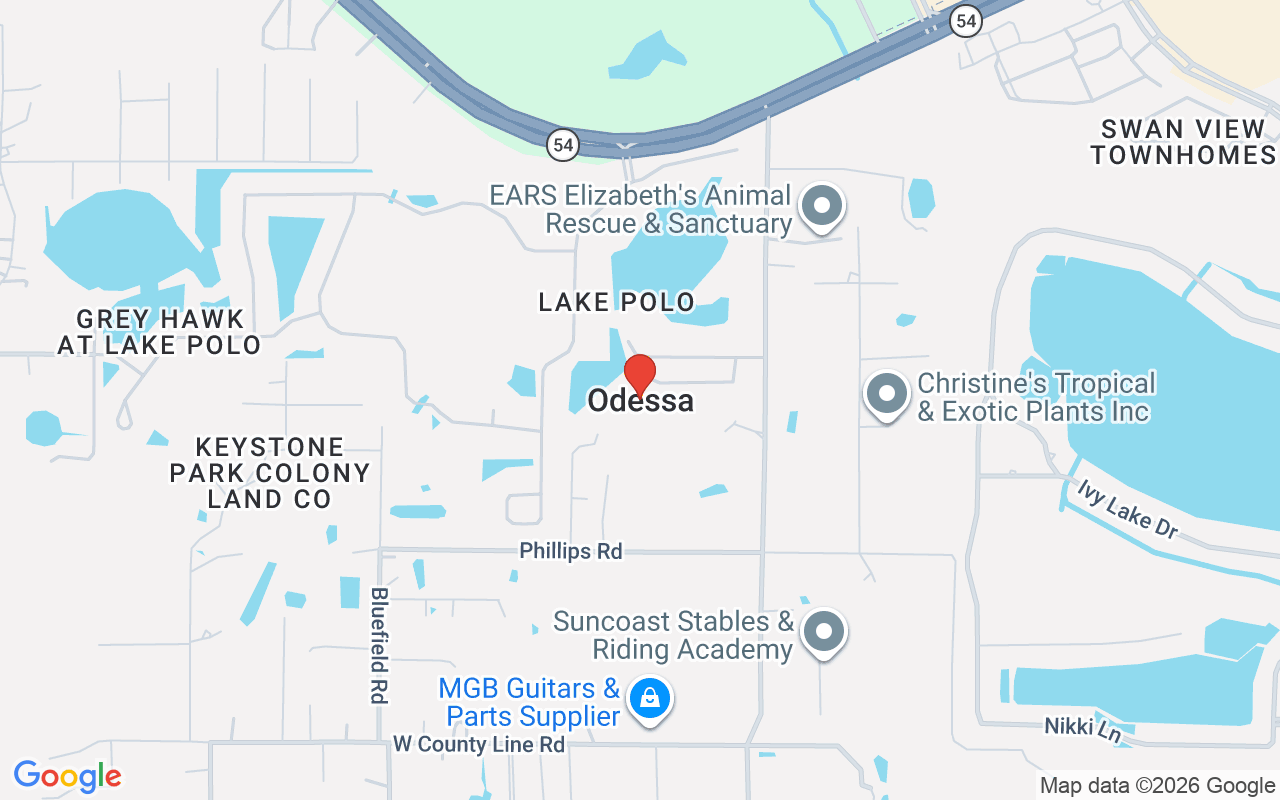 19214 Rashmika Place, Odessa, FL 33556