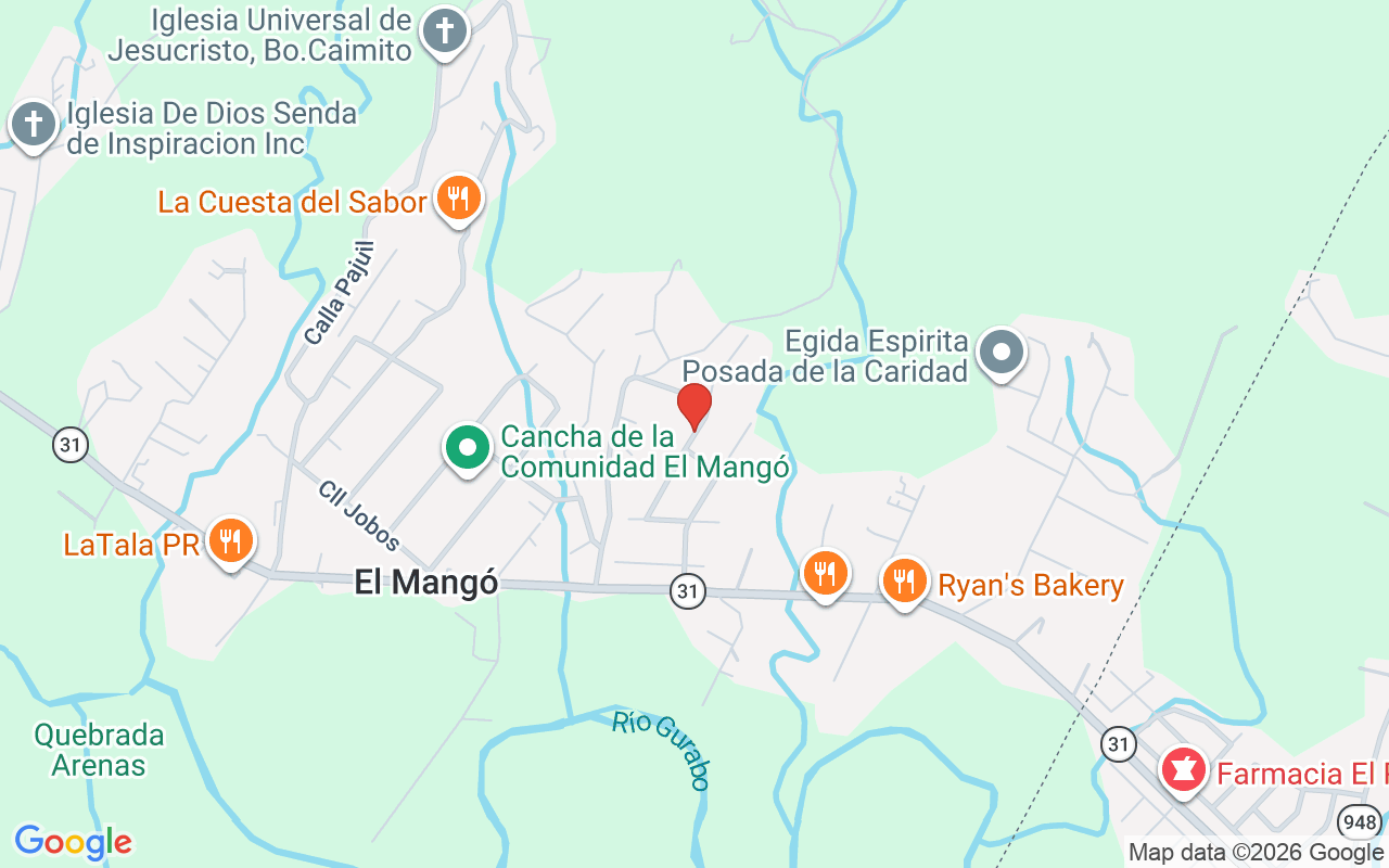 Calle 4 Barrio El Mango, Juncos, PR 00777