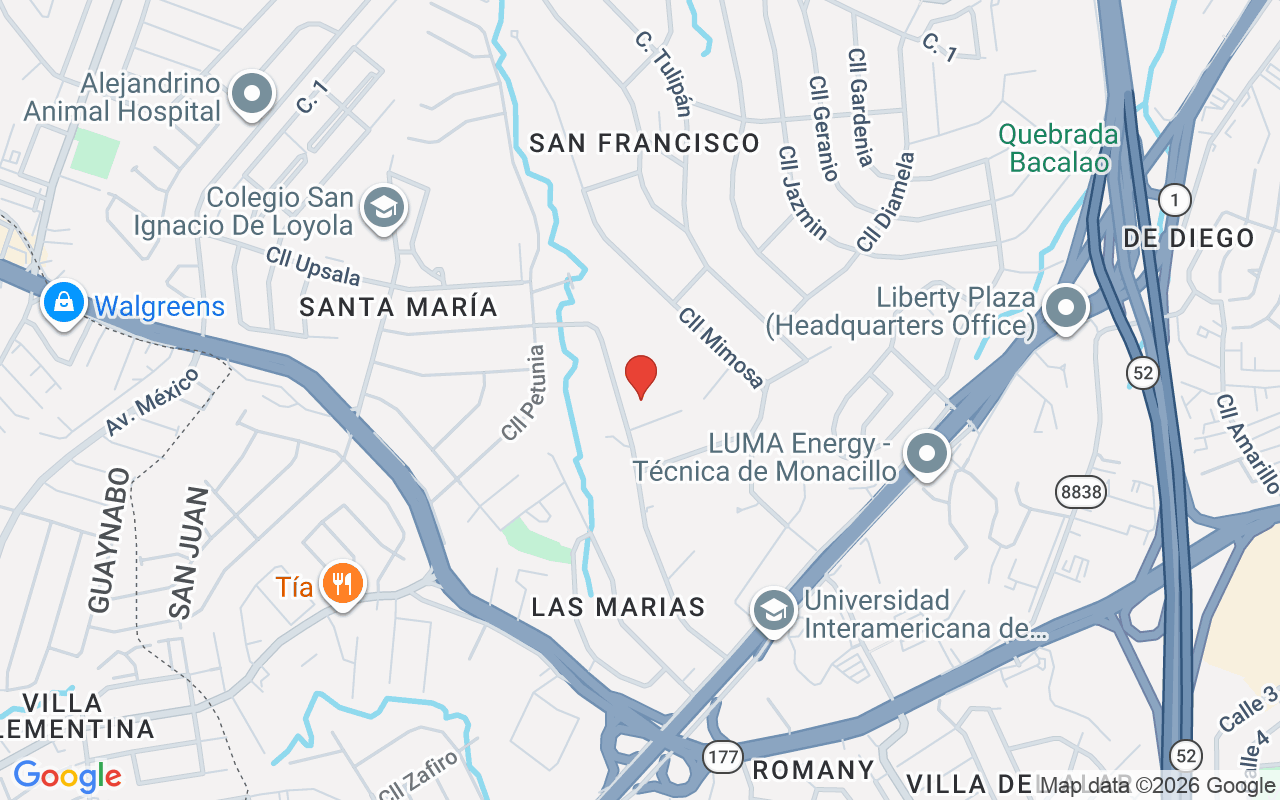 77 Orquidea, San Juan, PR 00927