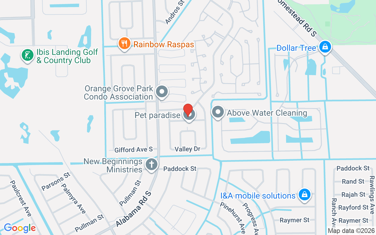 908 Hudson Ave, Lehigh Acres, FL 33936