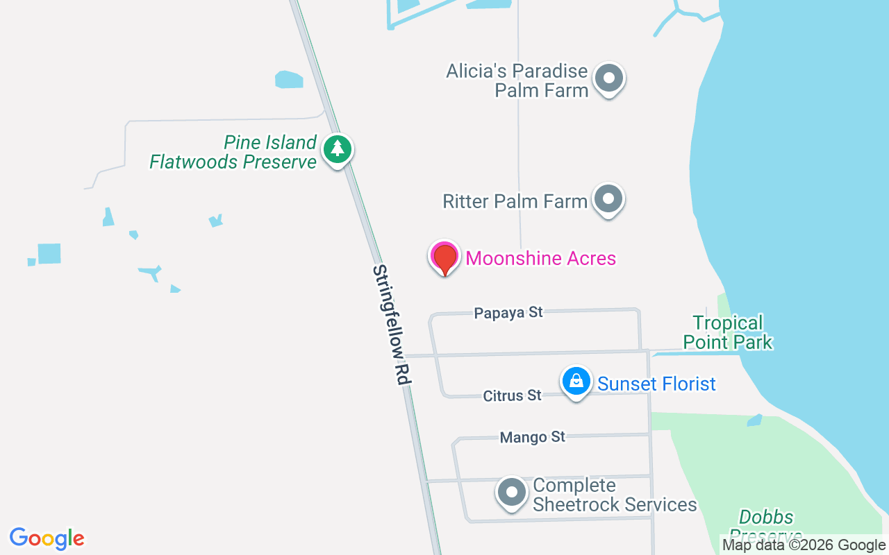 6050 Stringfellow Rd, Other, FL 33956