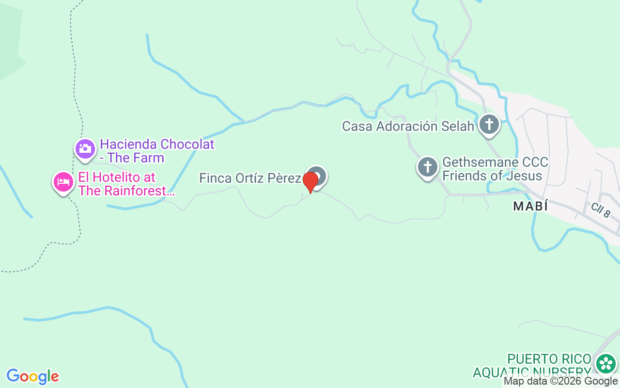 Pitahaya Camino Los Polacos, Luquillo, PR 00773