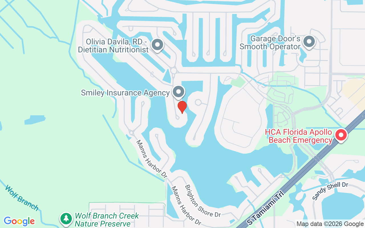 5405 Tybee Island Drive, Apollo Beach, FL 33572