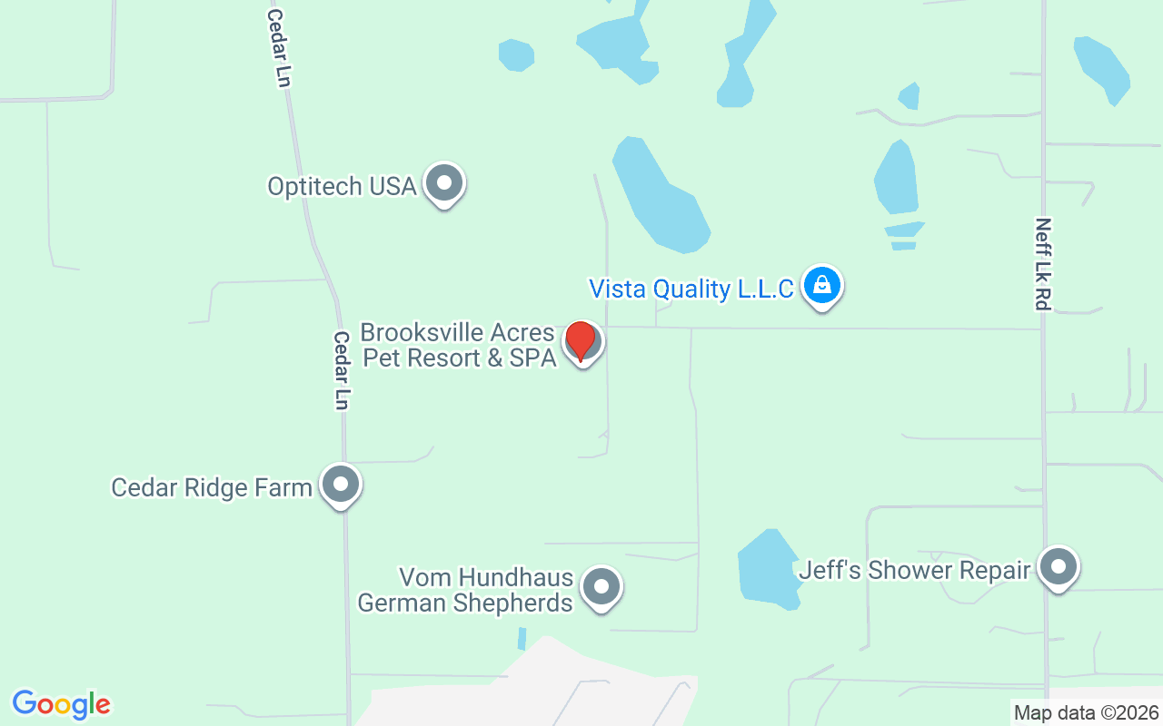 24392 Lanark Road, Brooksville, FL 34601