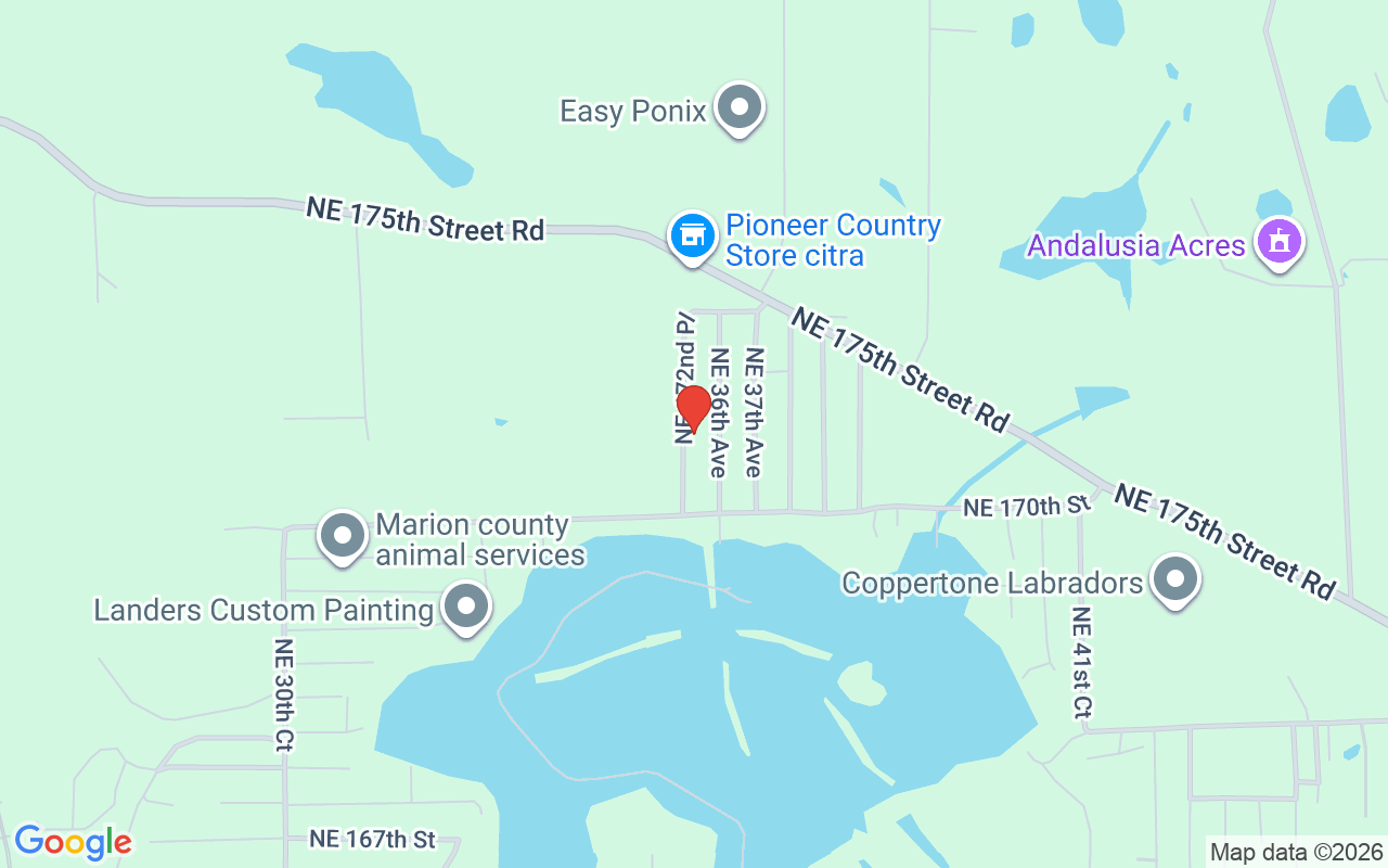 17085 36Th Avenue Ne, Citra, FL 32113