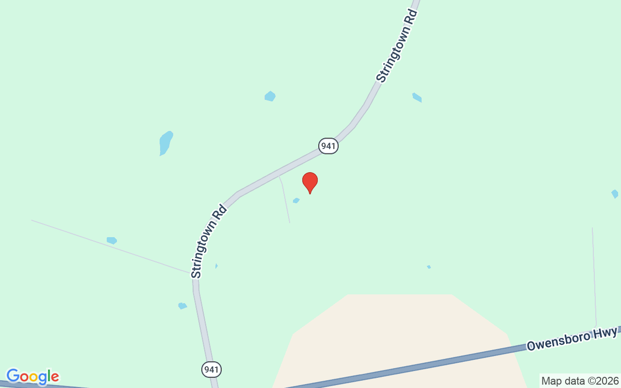 2800 Stringtown Rd, Guston, KY 40142