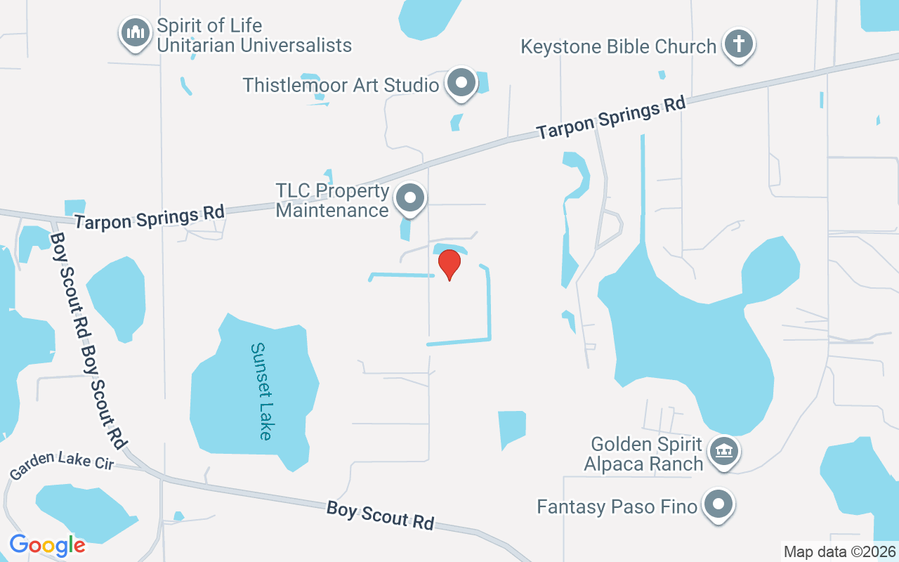 11560 Tarpon Springs, Odessa, FL 33556