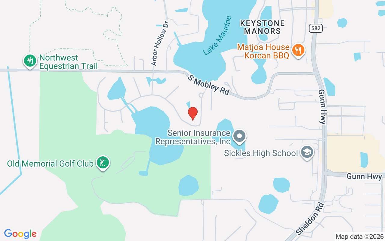 9127 Tillinghast Drive, Tampa, FL 33626