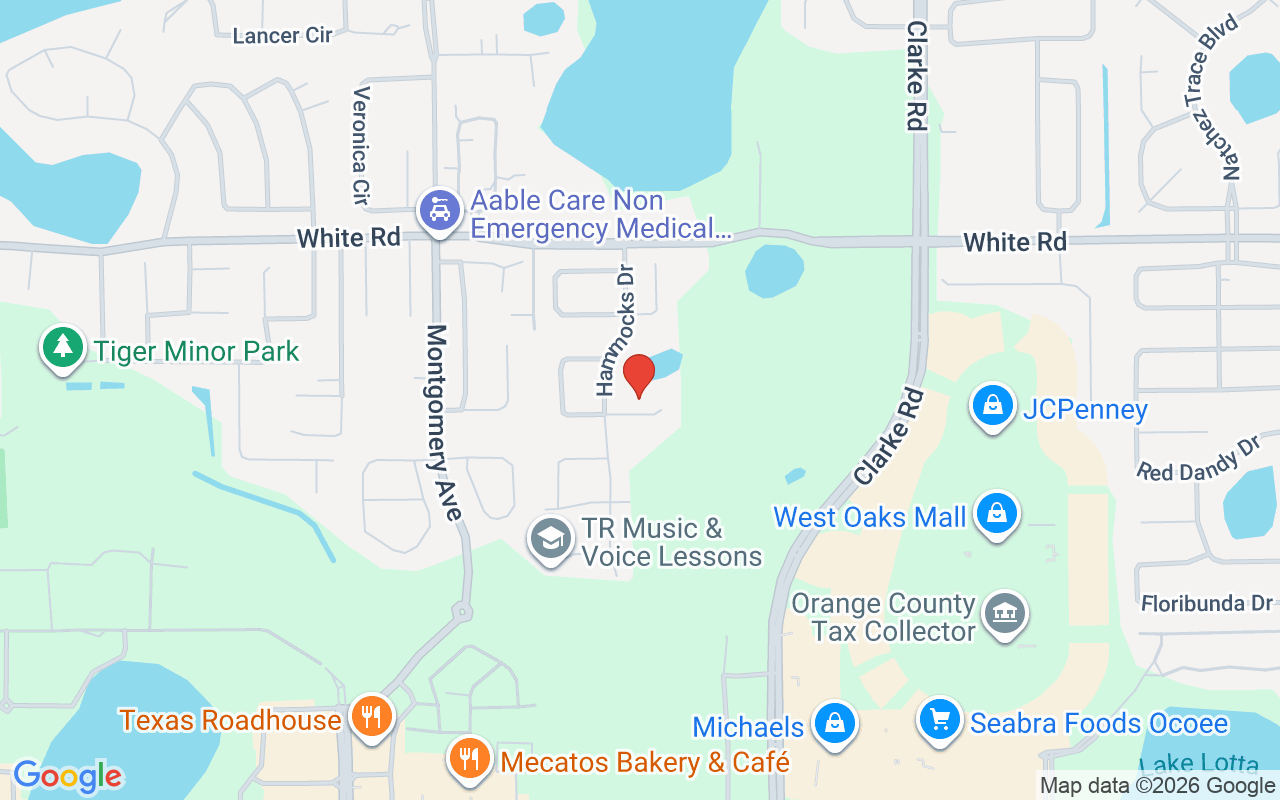 1105 Wineberry Court, Ocoee, FL 34761