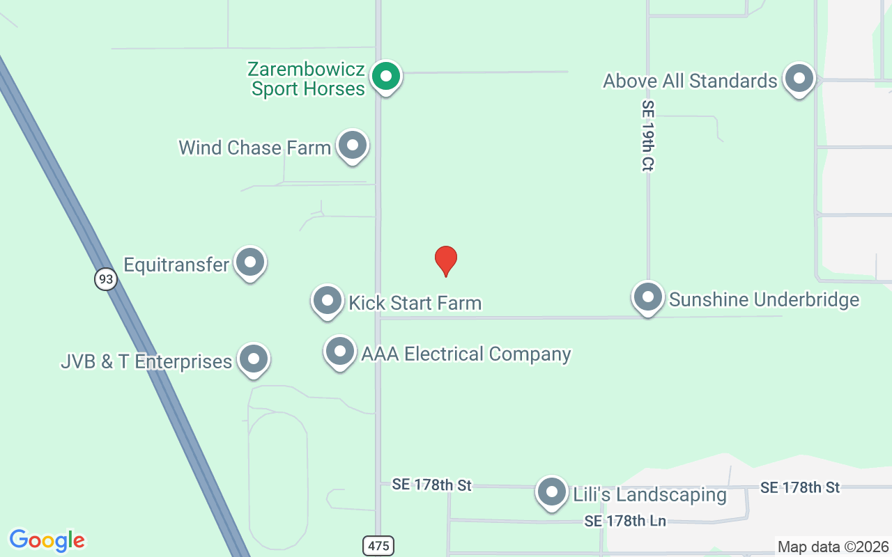 17401 Highway 475  S, Summerfield, FL 34491