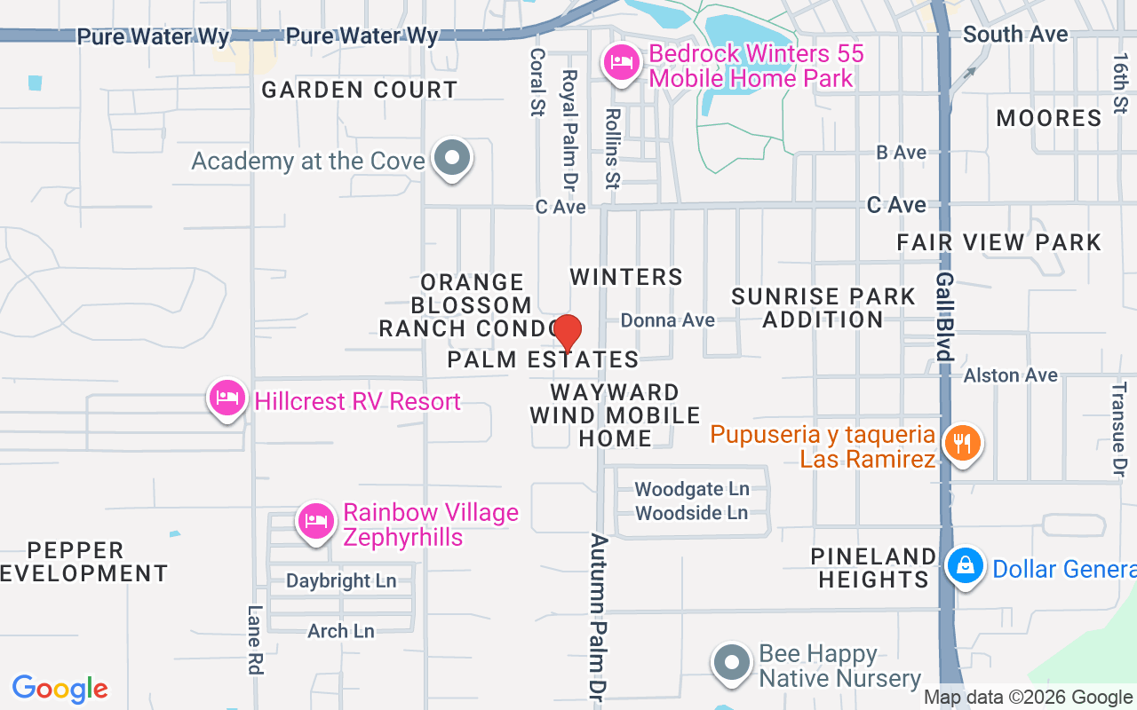 37930 Date Palm Drive, Zephyrhills, FL 33542
