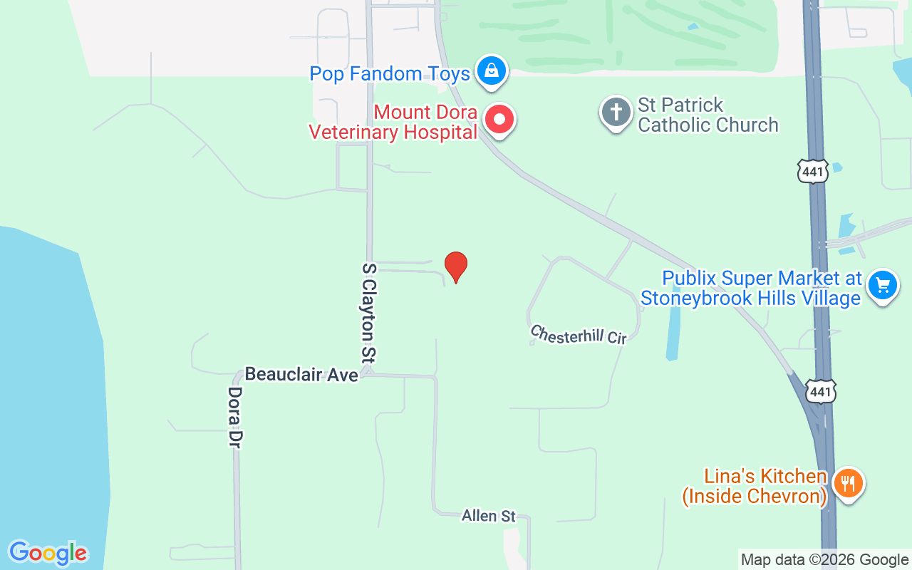 6553 Clayton Street, Mount Dora, FL 32757