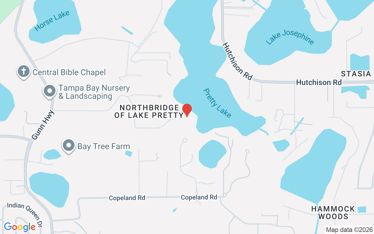 9902 Menander Wood Court, Odessa, FL 33556