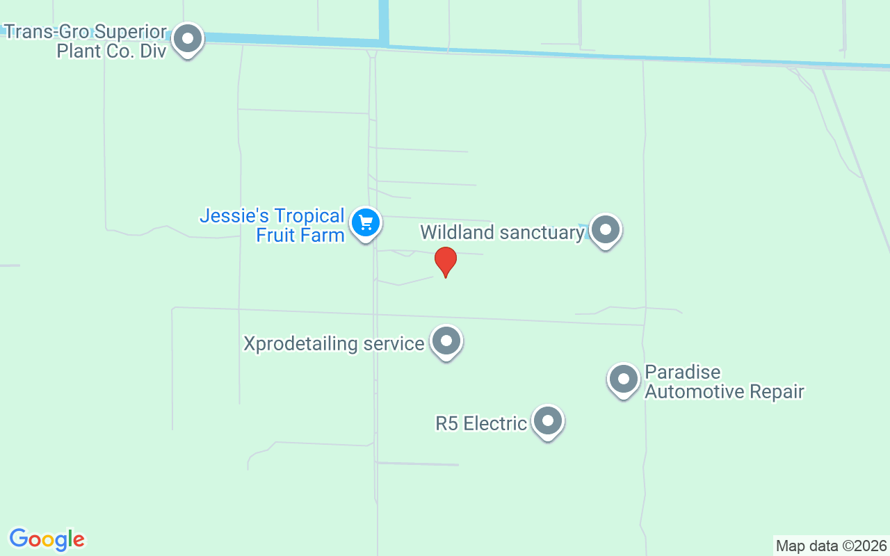 1340 Dove Tree St, Naples, FL 34117