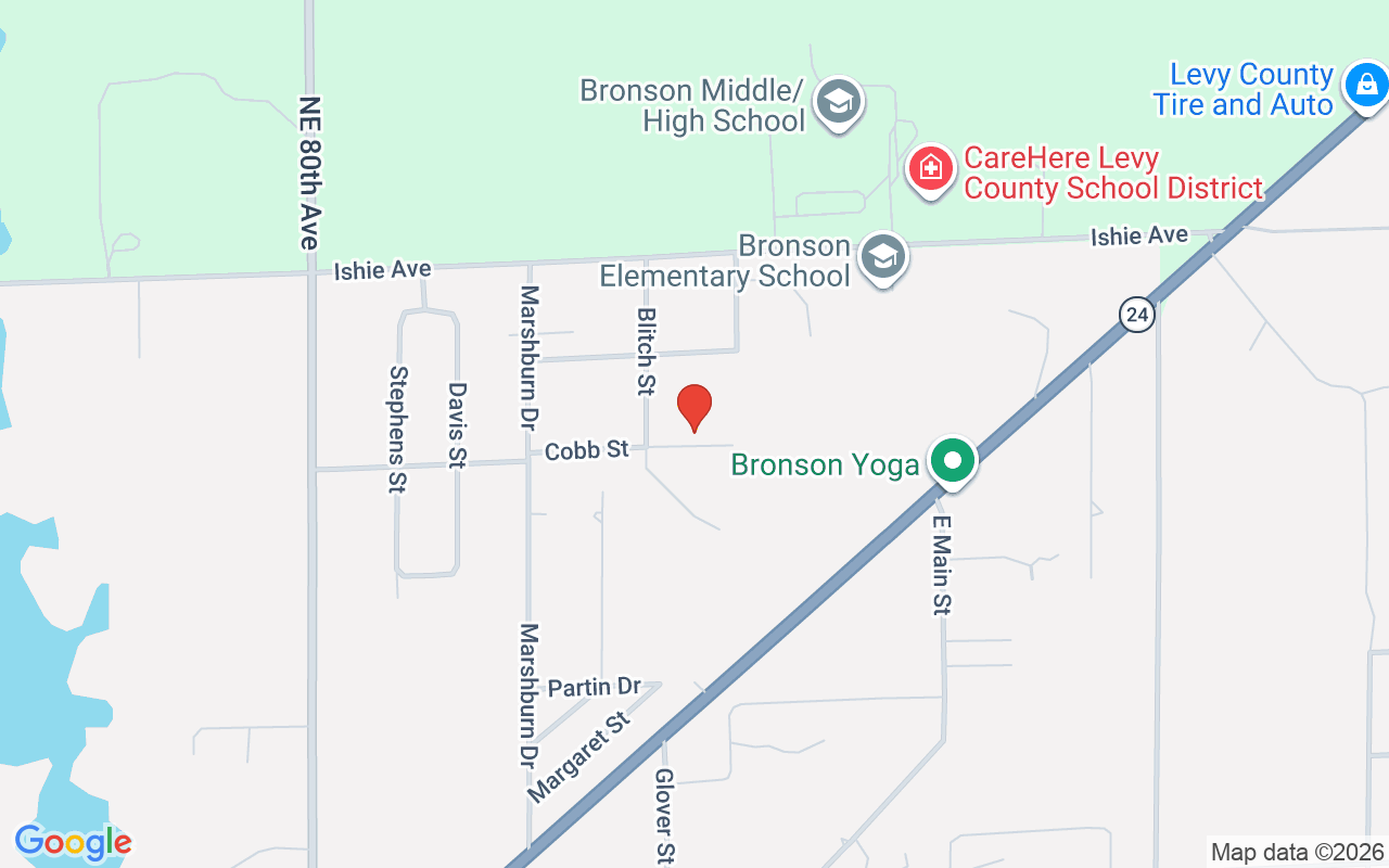 330 Cobb Street, Bronson, FL 32621