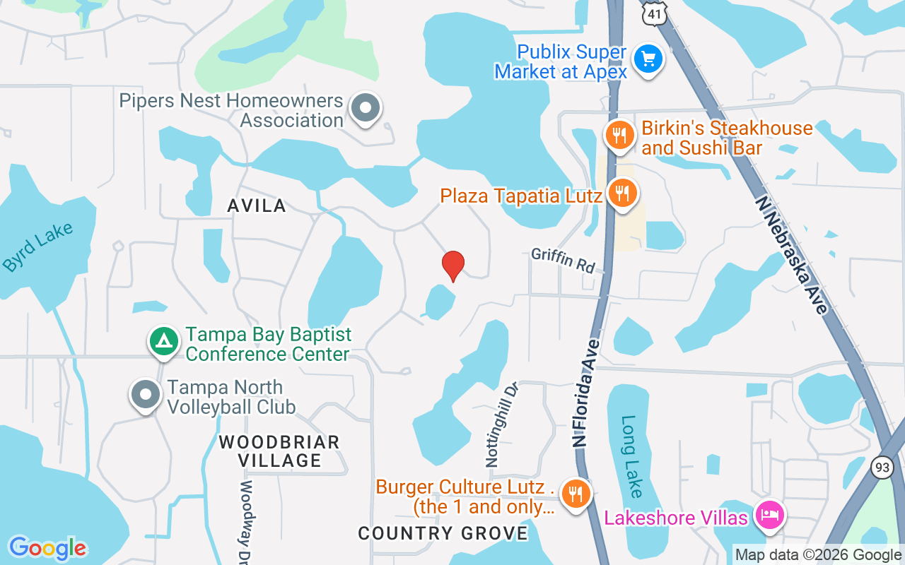 16203 Villarreal De Avila, Tampa, FL 33613