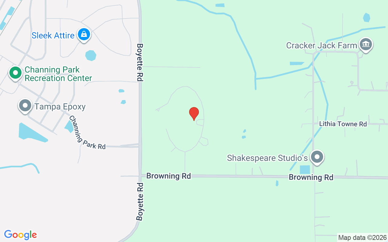 11441 Hammock Oaks Court, Lithia, FL 33547