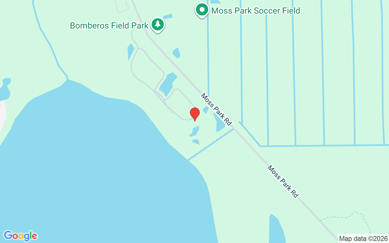 10420 Wittenberg Way, Orlando, FL 32832