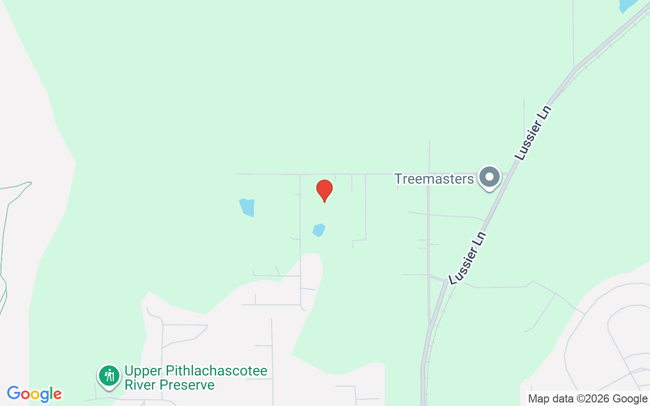 17718 Coon Hide Road, Spring Hill, FL 34610