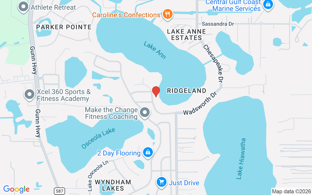 14151 Wadsworth Drive, Odessa, FL 33556