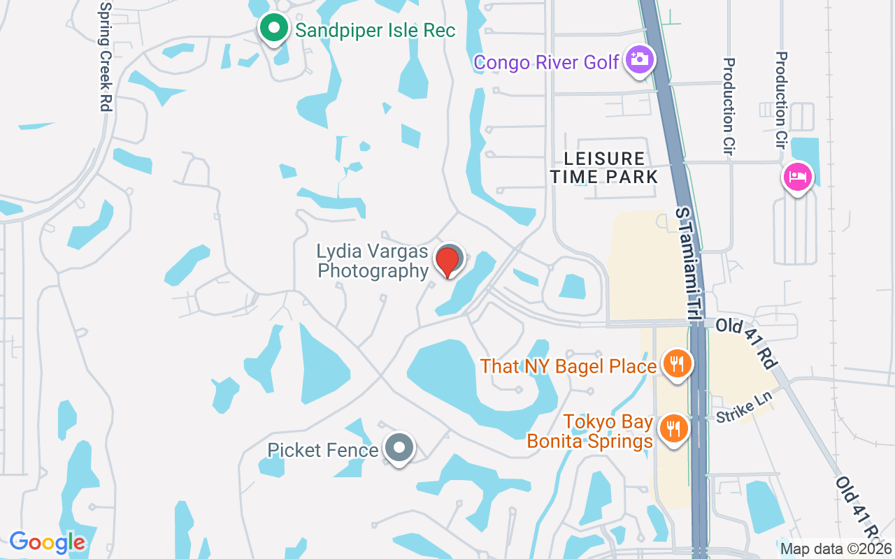 24681 Sweet Gum Ct, Bonita Springs, FL 34134