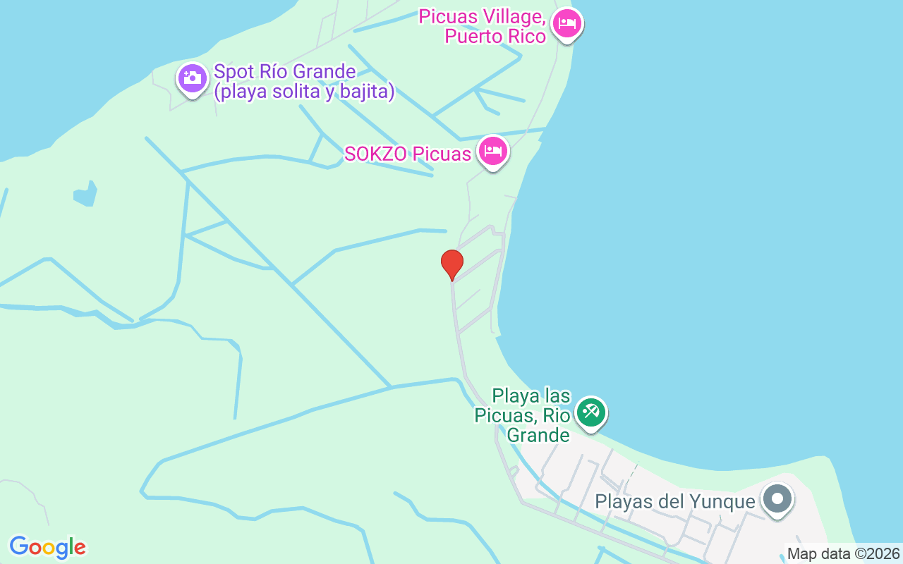 Camino Las Picuas Zarzal #13, Rio Grande, PR 00745