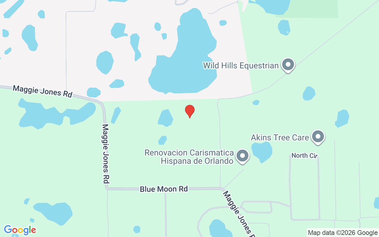 42554 Maggie Jones Road, Paisley, FL 32767