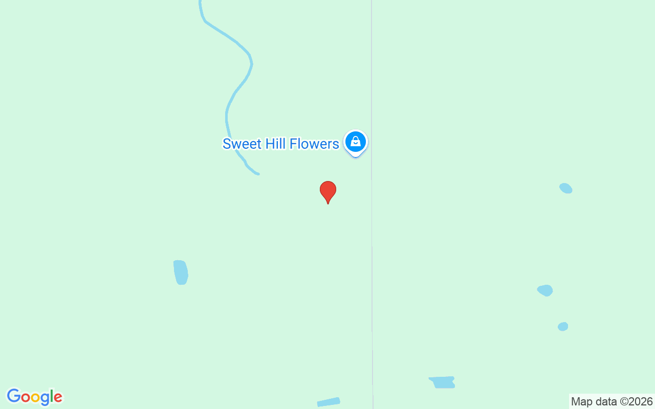 12625 Sweet Hill Road, Polk City, FL 33868