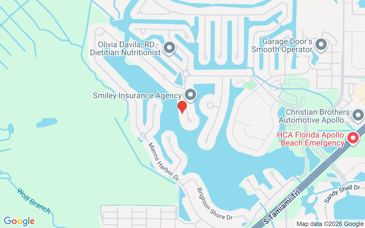 5408 Tybee Island Drive, Apollo Beach, FL 33572