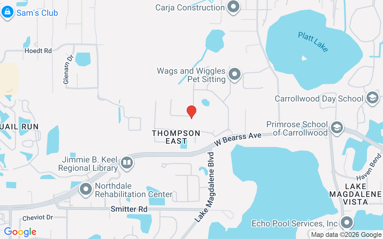 2218 Climbing Ivy Drive, Tampa, FL 33618