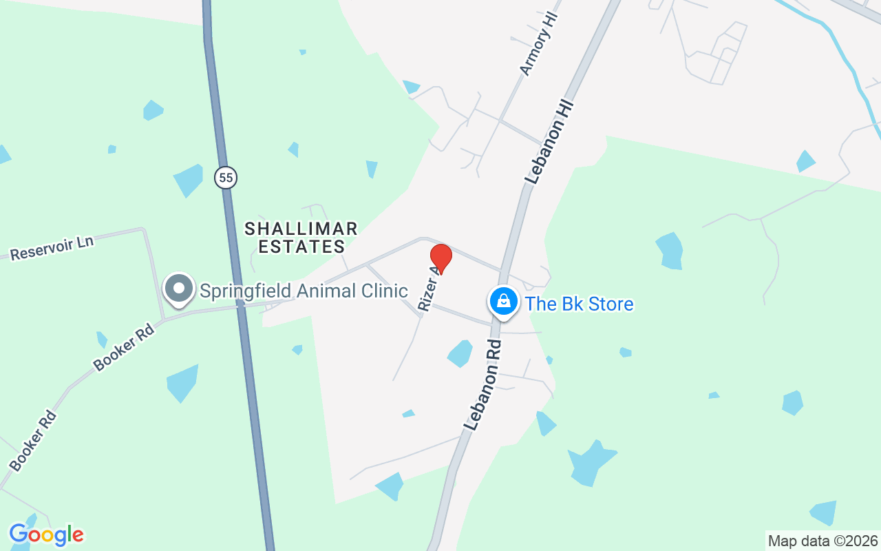 105 Rizer Ave, Springfield, KY 40069