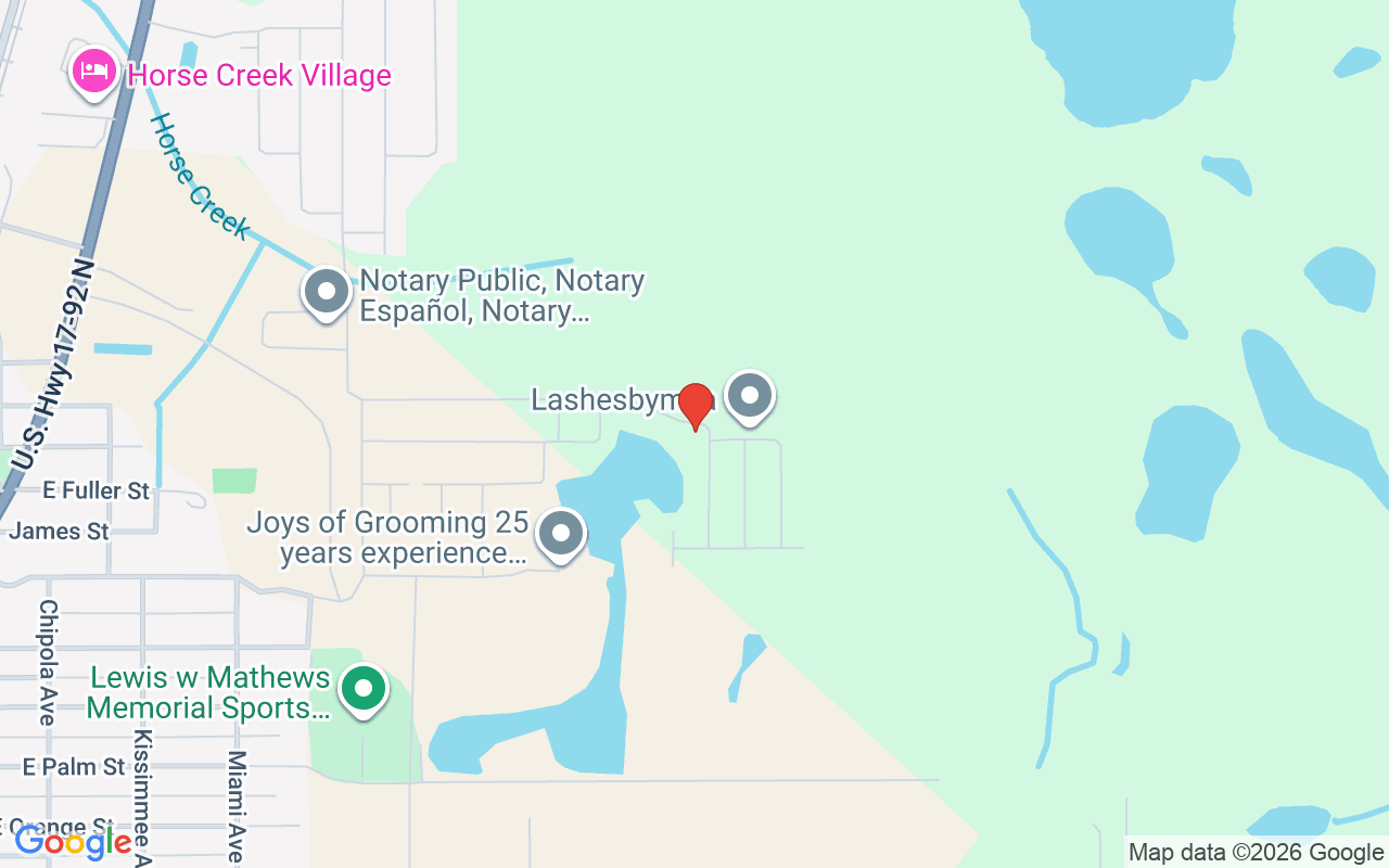 2424 Penguin Boulevard, Davenport, FL 33837