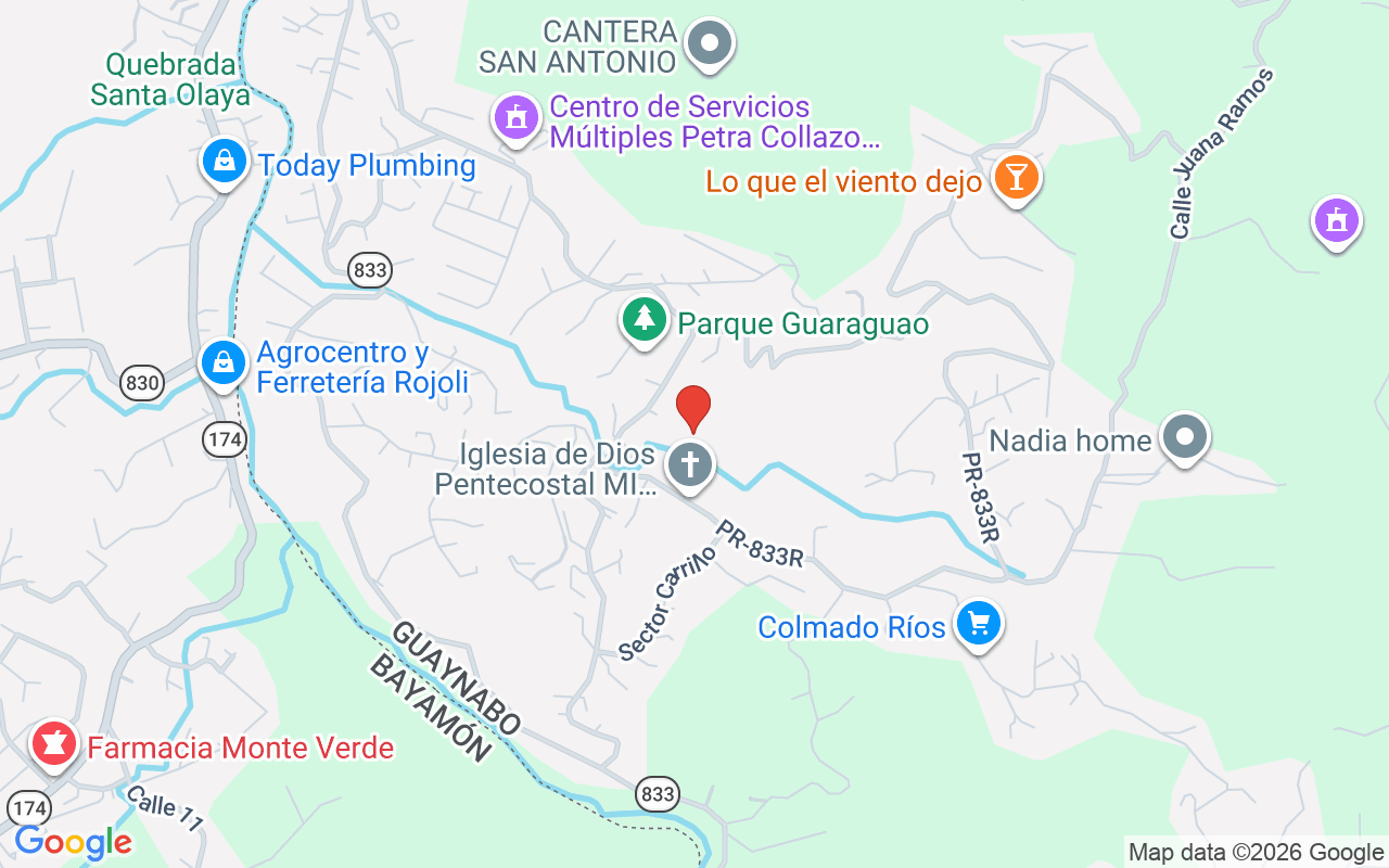 Bo Guaraguao Parcelas L&oacute;pez Cases #26, Guaynabo, PR 00966