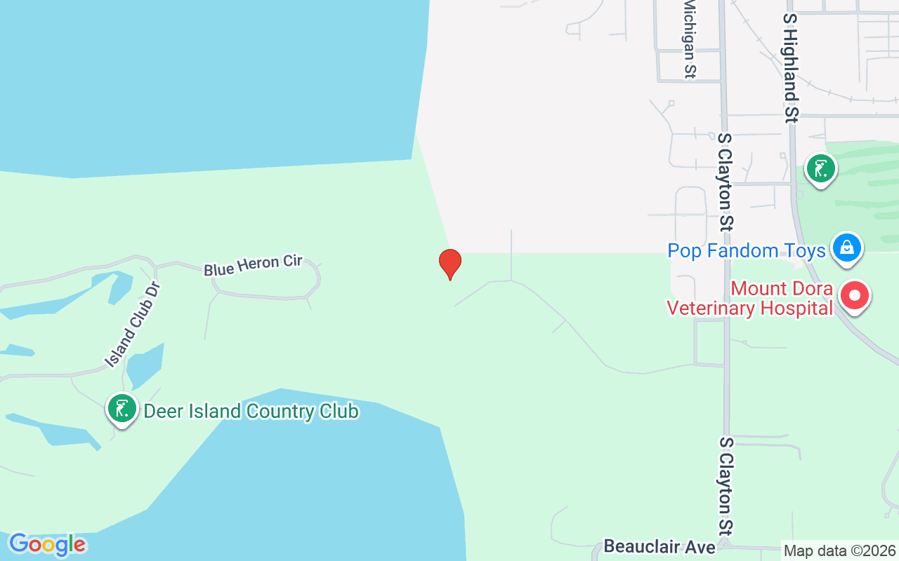 1359 Elysium Boulevard, Mount Dora, FL 32757