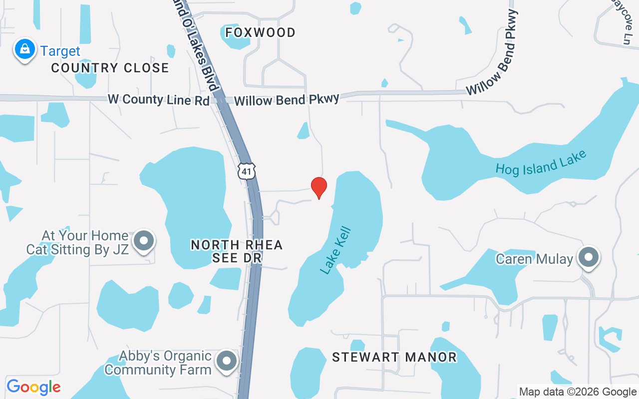 117 Bellamere Palms Court, Lutz, FL 33549