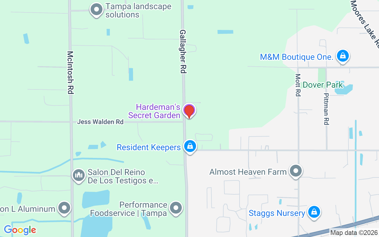 3505 Gallagher Road, Dover, FL 33527
