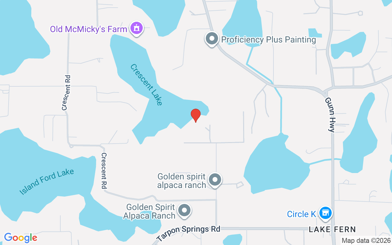 19018 Blake Road, Odessa, FL 33556