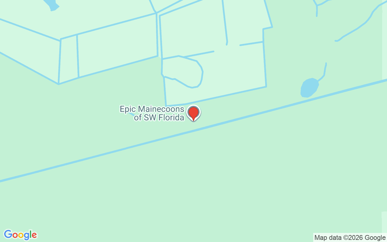 5010  Ln, Punta Gorda, FL 33955