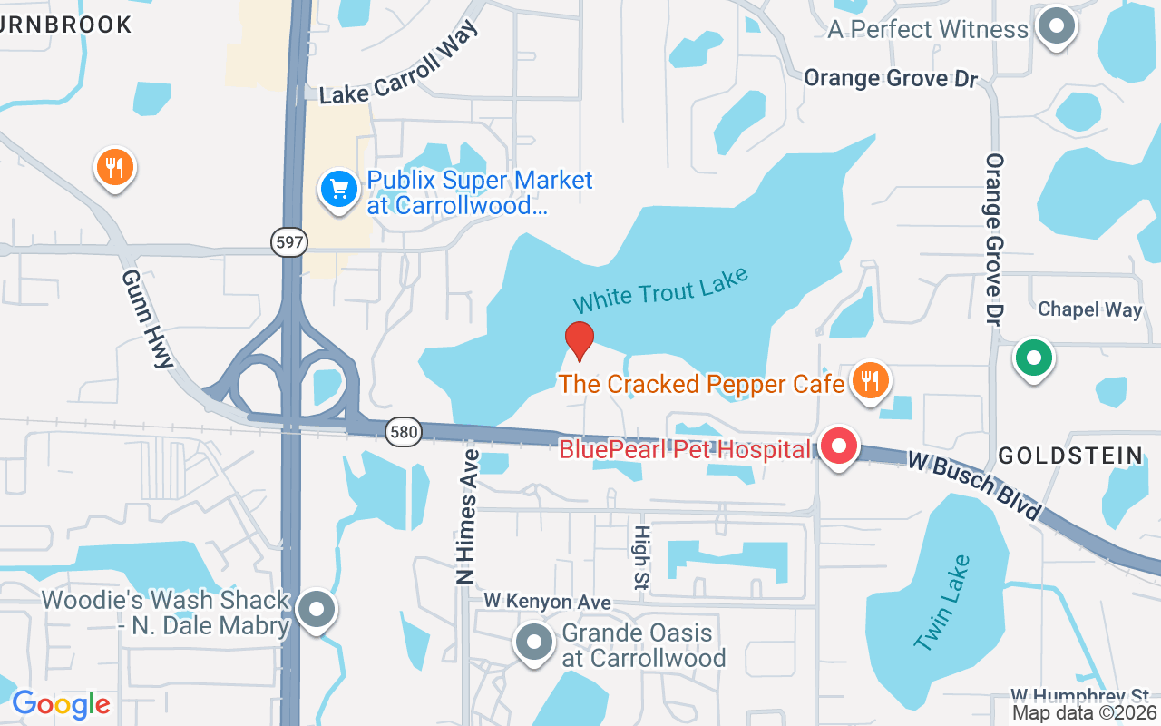 9586 Troutwater Lane, Tampa, FL 33618