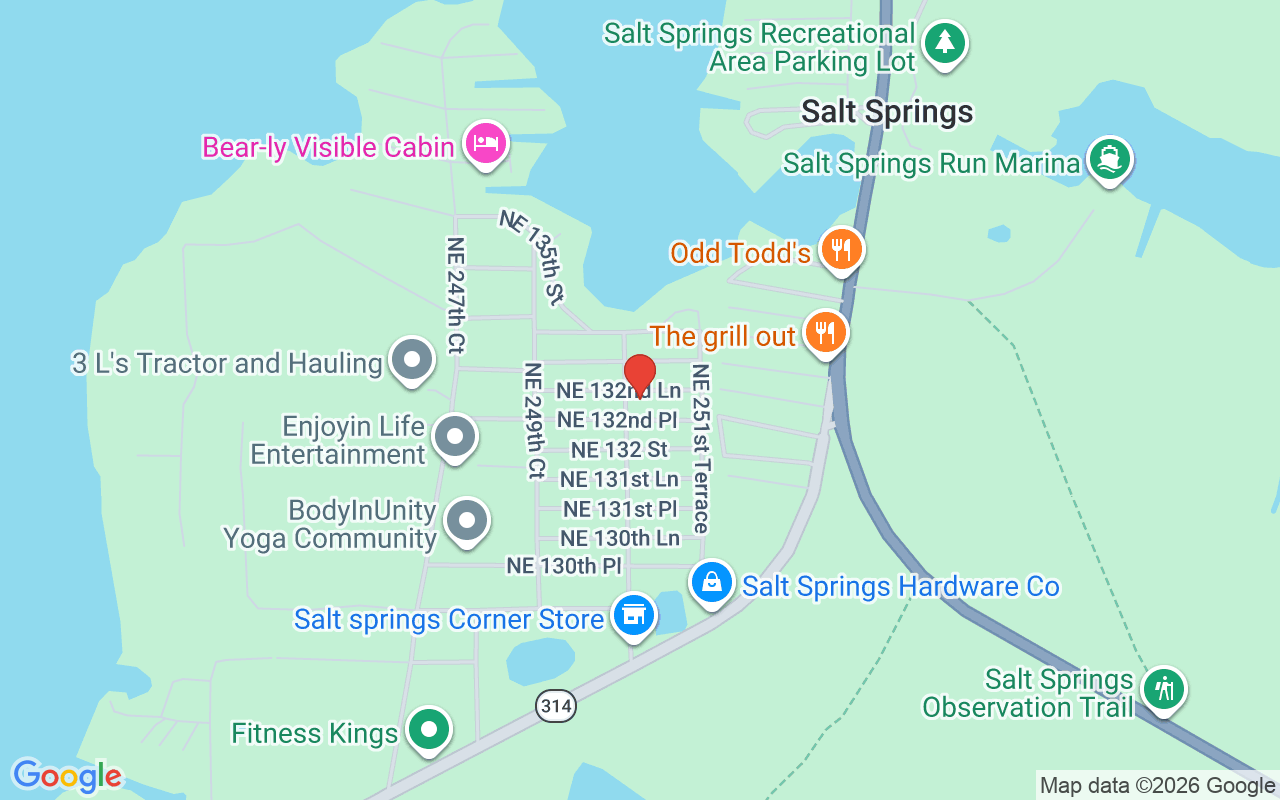 25094 132Nd Lane Ne, Salt Springs, FL 32134