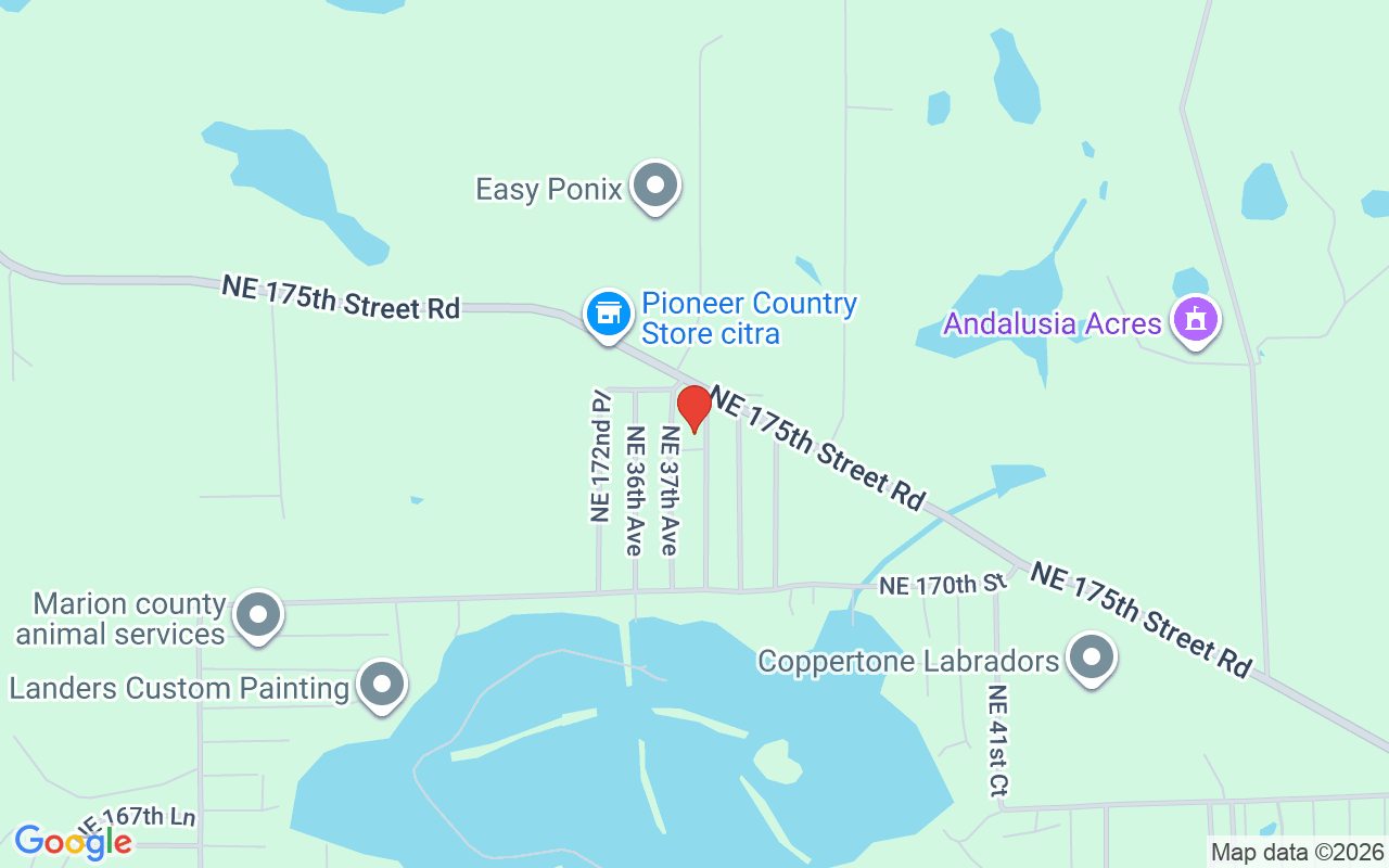 17174 37Th Court Ne, Citra, FL 32113