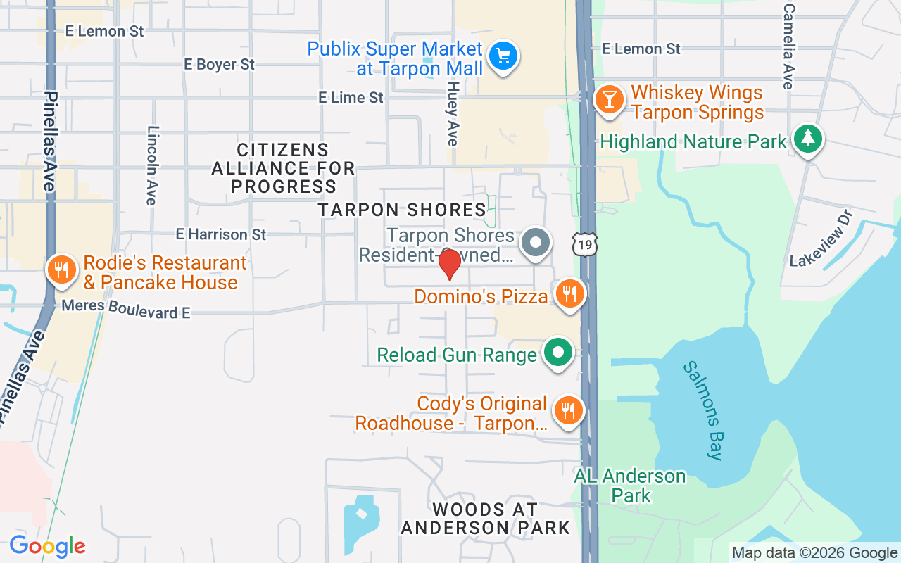 46 Drury Lane, Tarpon Springs, FL 34689