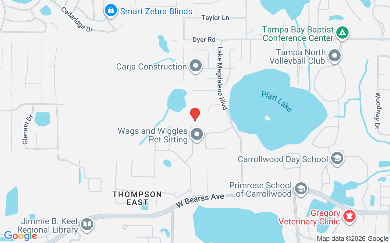 2102 Chestnut Forest Drive, Tampa, FL 33618