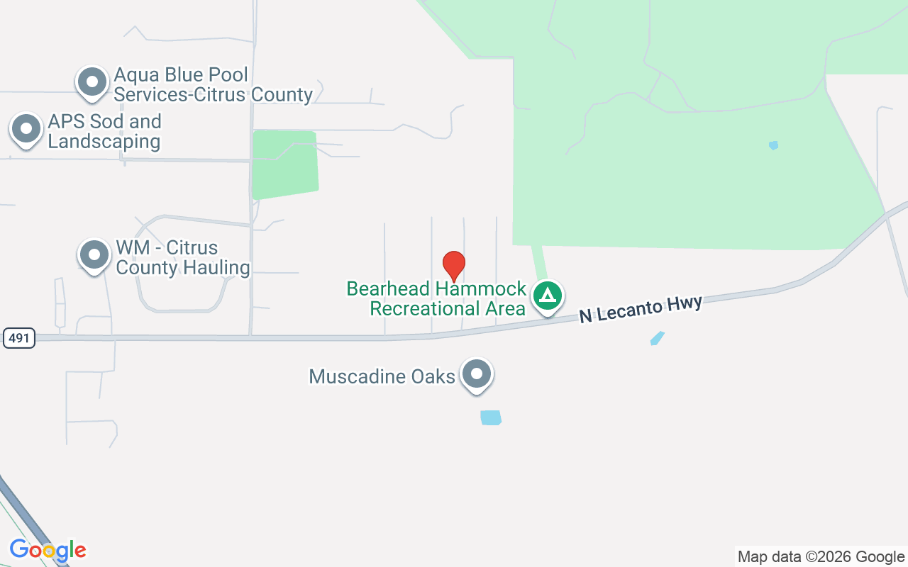 7098 Golden Point N, Hernando, FL 34442